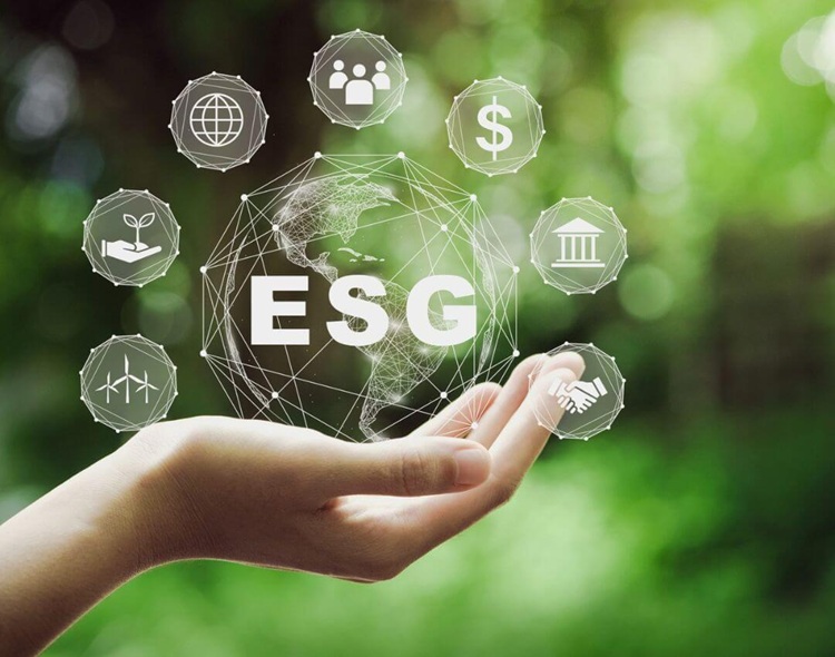 green travel options for business travellers green travel options for business travellers