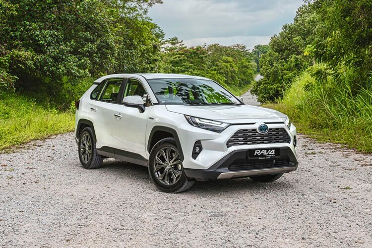 hybrid car rental option when travel
